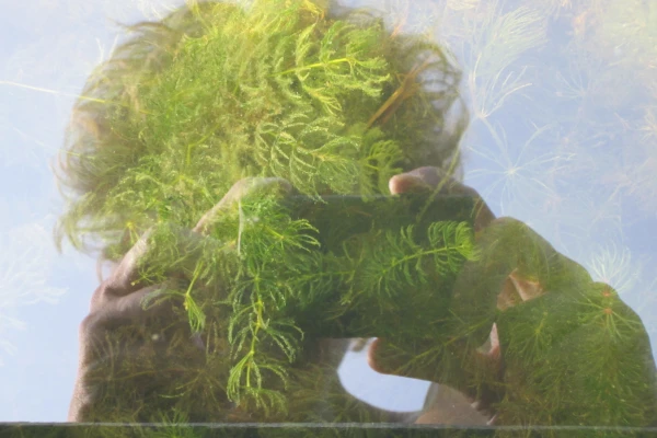 Gesche Piening, Selbstportrait